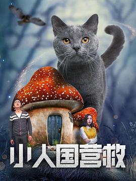 跟着电影开启唐人街之旅2026-03-27 当春分遇到龙抬头：春风启新，昂首向前2026-03-20 光线传媒董事长王长田:立足优质电影 打造世界级IP2026-03-18 《马说新语》斩获2026AI春晚优秀奖 AI赋能国潮文艺2026-03-17 电影频道3月6日播出电影《玛丽·雪莱》2026-03-06 佳片有约 | 《飓风营救2》：姜还是老的辣？